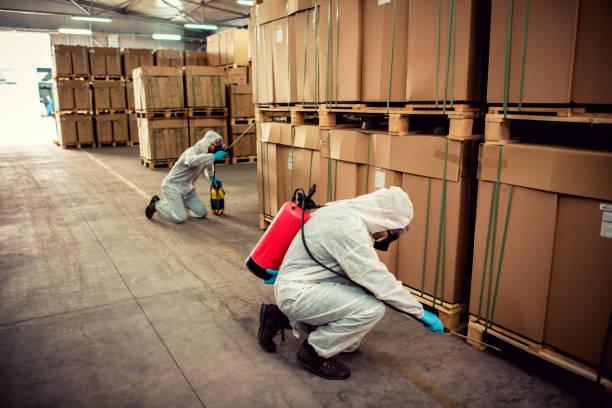  Tulare, CA Pest Control Pros