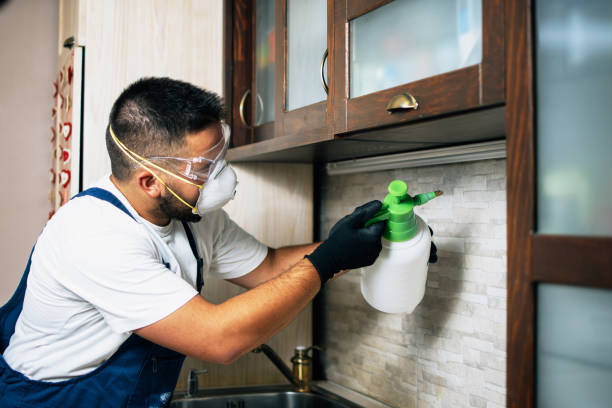 Best Affordable Exterminators  in Tulare, CA
