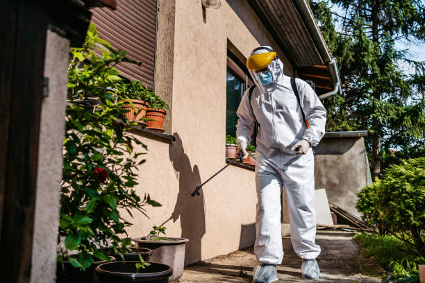 Best Residential Pest Control  in Tulare, CA