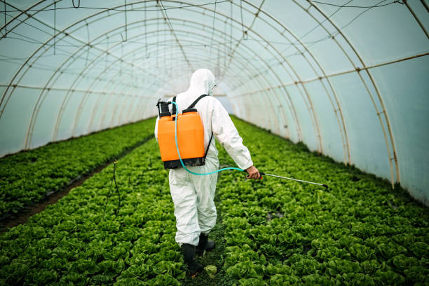 Pest Prevention Services in Tulare, CA