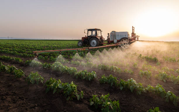 Best Local Pest Control Services  in Tulare, CA