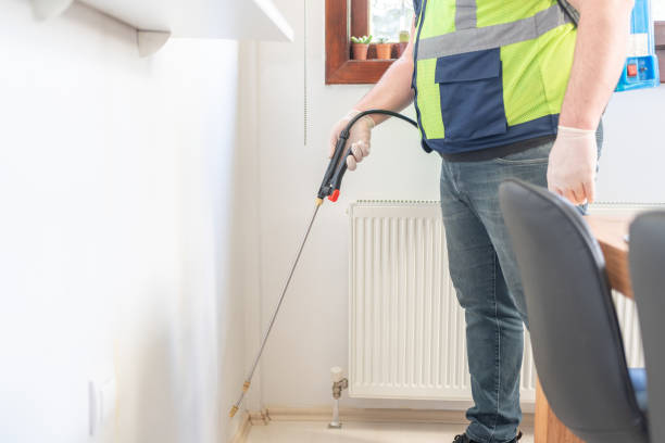 Best Wasp Removal Services  in Tulare, CA