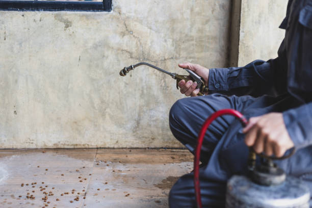 Best Ant Control Services  in Tulare, CA